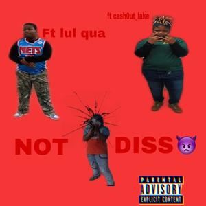 Not a diss (feat. cash0ut_lake & lul qua) (Explicit)