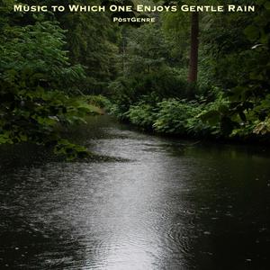 Music to Which One Enjoys Gentle Rain