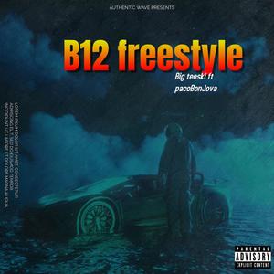 B12 freestyle (feat. PacoBonJova) [Explicit]