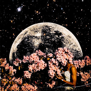 Flowers on the Moon - EP (Explicit)