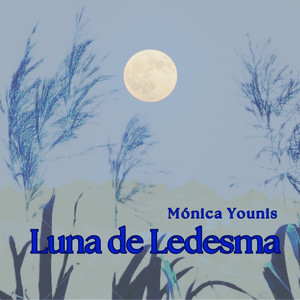 Luna de Ledesma