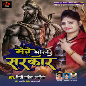 Mere Bhole Sarkar - Single