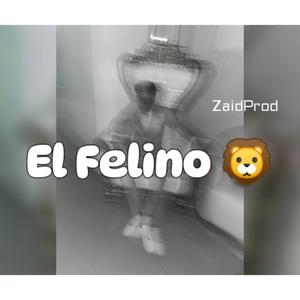 El Felino