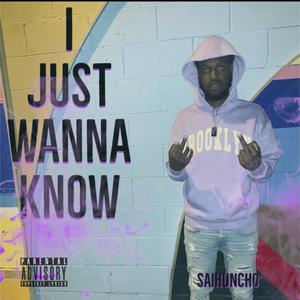 I Just Wanna Know (Explicit)