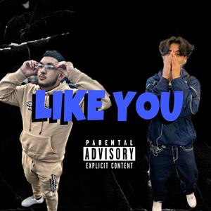 Like You (feat. cashwayjayy) [Explicit]