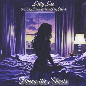 Tween the Sheets (feat. Shyy Marie & JustinPlay2Much) (Explicit)