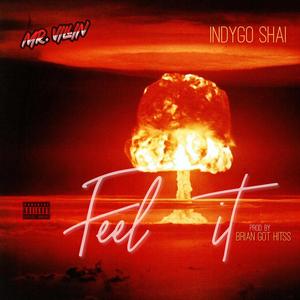 Feel It (feat. Indygo Shai) [Explicit]