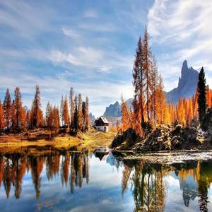 沈思前 - 爱情废柴