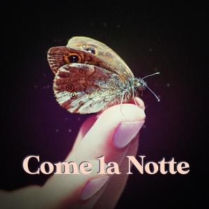 Come la Notte