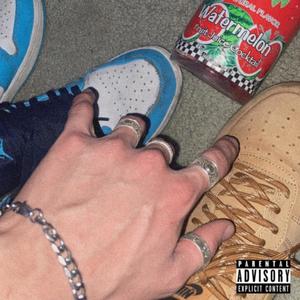 Wild (feat. Kidd Silver) (Explicit)