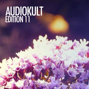 Audiokult Edition 11