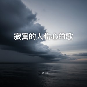 寂寞的人伤心的歌 - 王璐珊封面