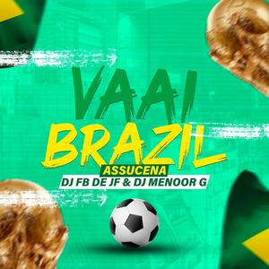 VAAI BRAZIL