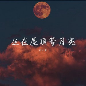 是阮不是软-甜一点 (赵小雷 remix)
