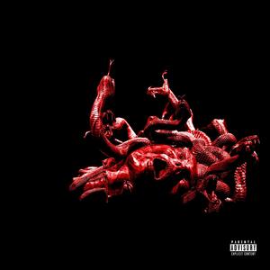 PHOTOPHOBIA(feat. RVPIST) (Explicit)