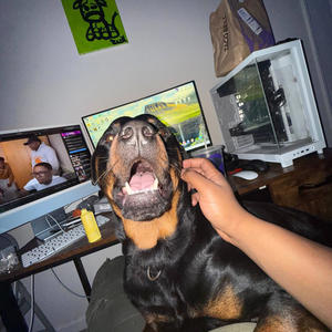 Work (feat. Armani monroe) (Explicit)