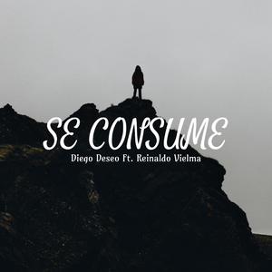 Se Consume (feat. Reinaldo Vielma)