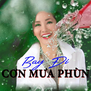 Bay đi cơn mưa phùn