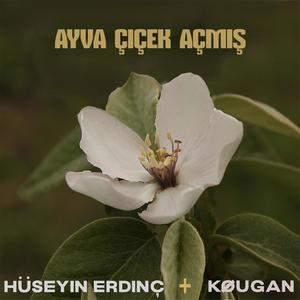 Ayva Çiçek Açmış (feat. Kougan Ray)