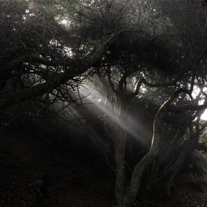 Despondent (Explicit)