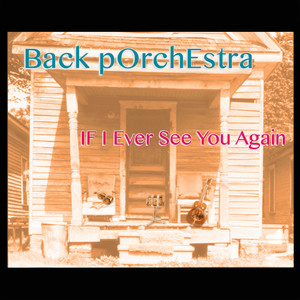 If I Ever See You Again