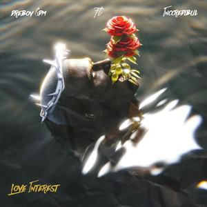 Love Interest (Explicit)