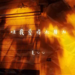 怪我爱得太用力