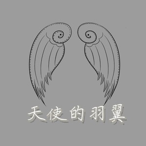 天使的羽翼