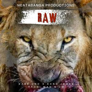 RAW (feat. KxNG James) (Explicit)