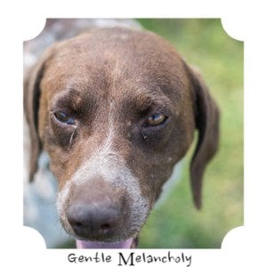 A True Superhero Pt 2 - the Hollywood Romance