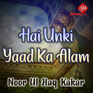 Hai Unki Yaad Ka Alam - Single