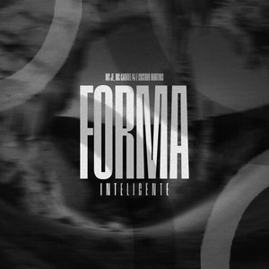 Forma Inteligente (Explicit)