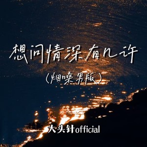 大头针 Official - 想问情深有几许 (烟嗓男版)