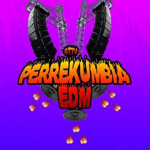 PERREKUMBIA EDM (Explicit)