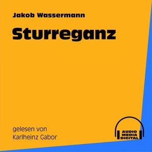 Sturreganz - Teil 185