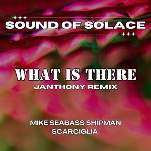 What is There (feat. Mike Seabass Shipman & Scarciglia) (Janthony Remix)