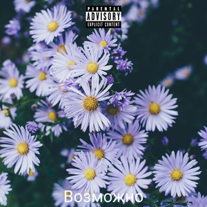 Возможно (Explicit)