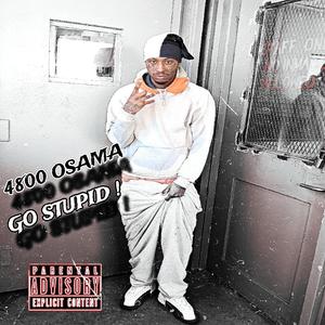 GO STUPID (Explicit)