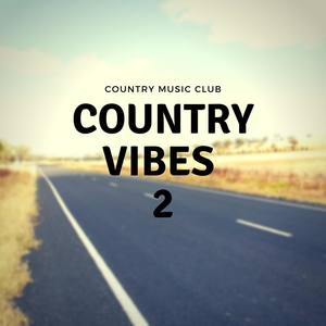 Country Vibes 2