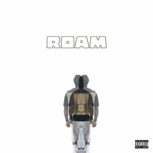 ROAM