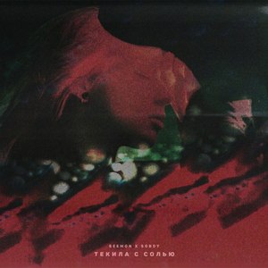 Текила с солью (feat. Soboy) (Explicit)