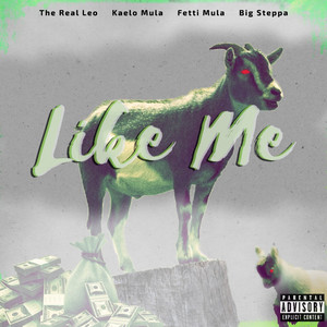 Like Me (Explicit)