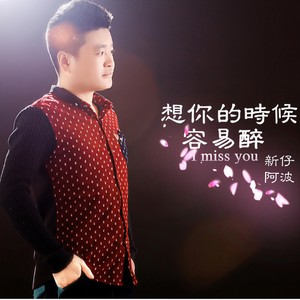 想你的时候容易醉