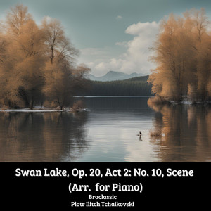 Swan Lake, Op. 20, Act 2: No. 10, Scene (Arr. for Piano) (Piano Version)