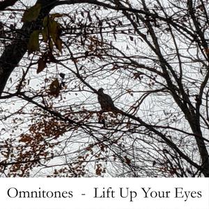 Lift Up Your Eyes