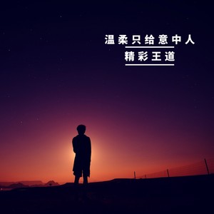 温柔只给意中人