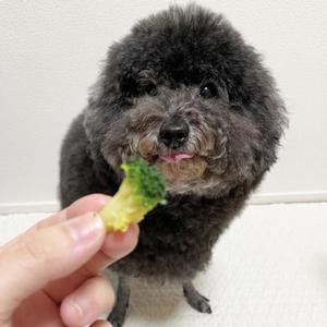 hit dis (feat. Perry. & Boom) (Explicit)