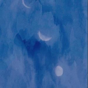 月出惊山鸟，时鸣春涧中。-胖胖