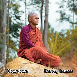 slowdown (feat. Tendai Marwan)