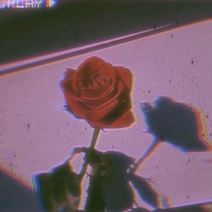 want you right now feat:WendyNoNo